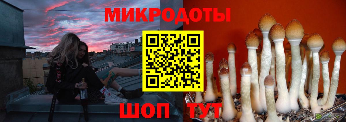 Приморско-Ахтарск  Галлюциногенные грибы мухоморы  Вход с VPN  Псилоцибиновые грибы MAGIC MUSHROOMS 